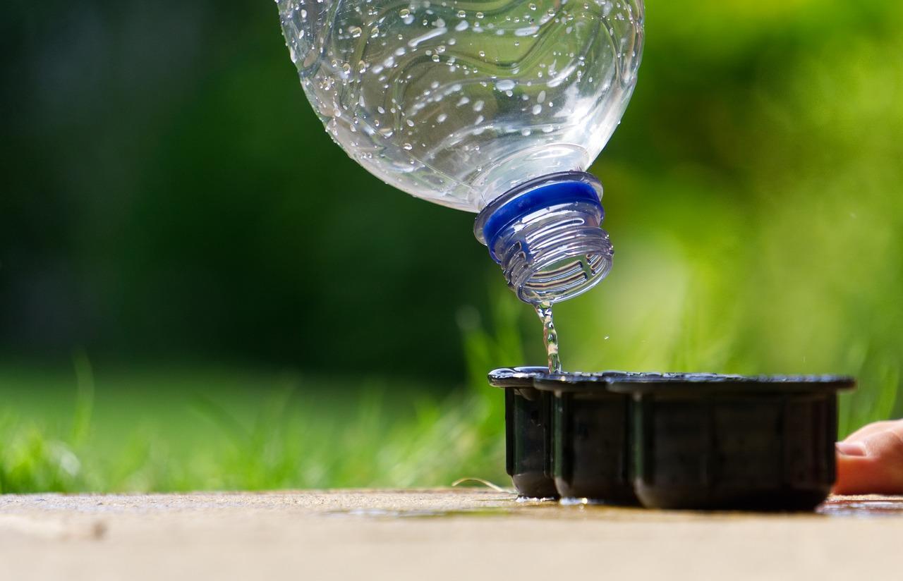 Wasserbecher und Flasche