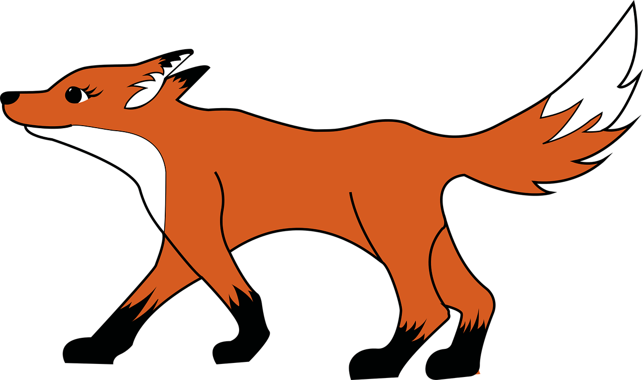 Fuchs schau um