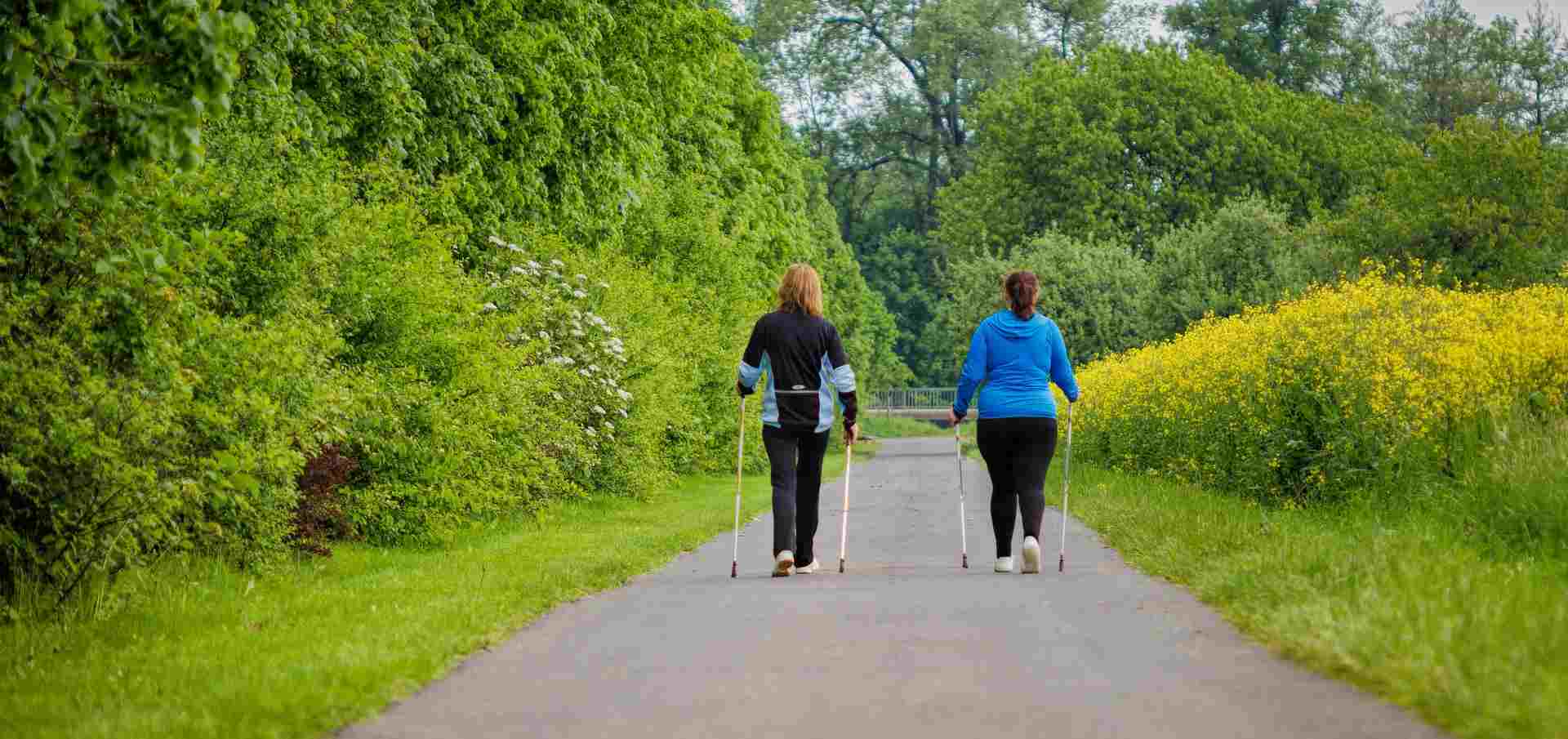 nordic walking regeln