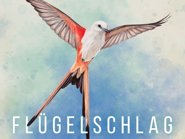 Flügelschlag Cover