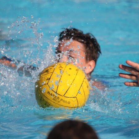 Wasserball-Regeln