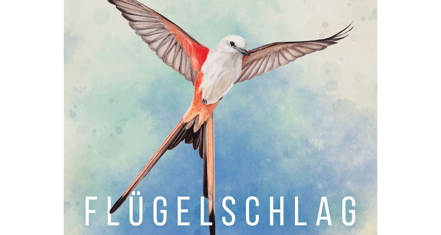 Flügelschlag Spielanleitung - PDF Download